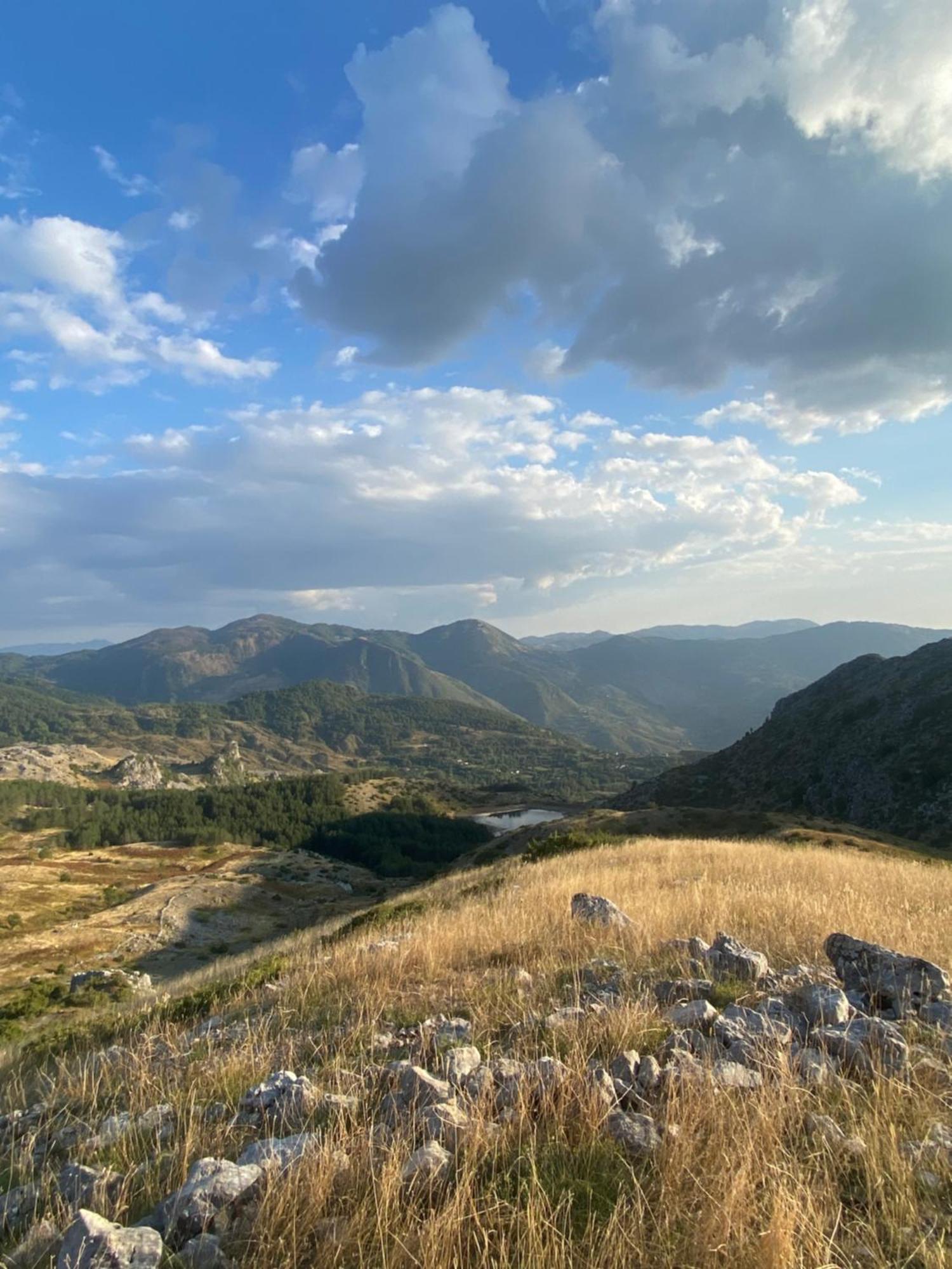 Vila Disha Villa Tiranë Eksteriør bilde