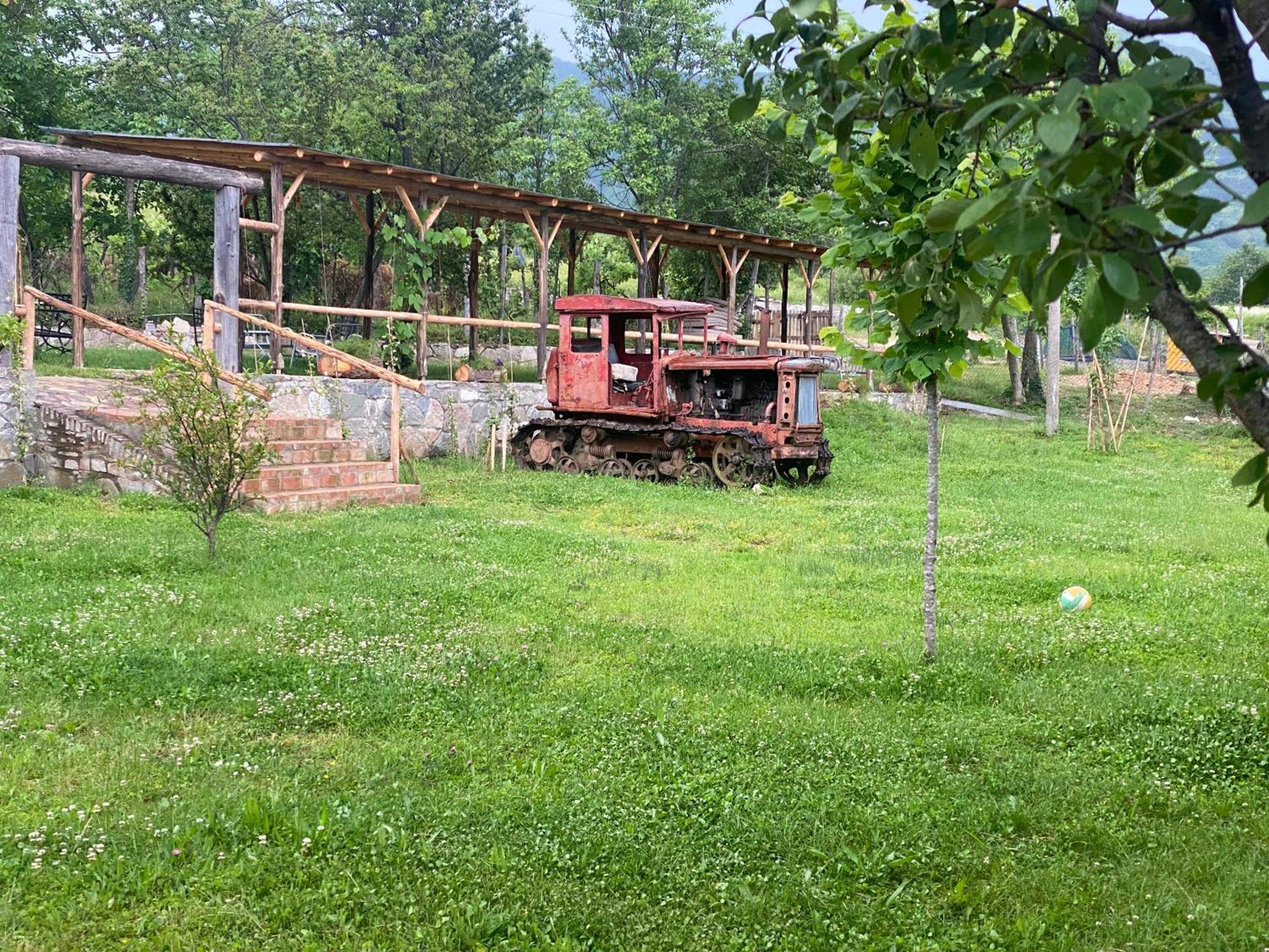 Vila Disha Tiranë Eksteriør bilde