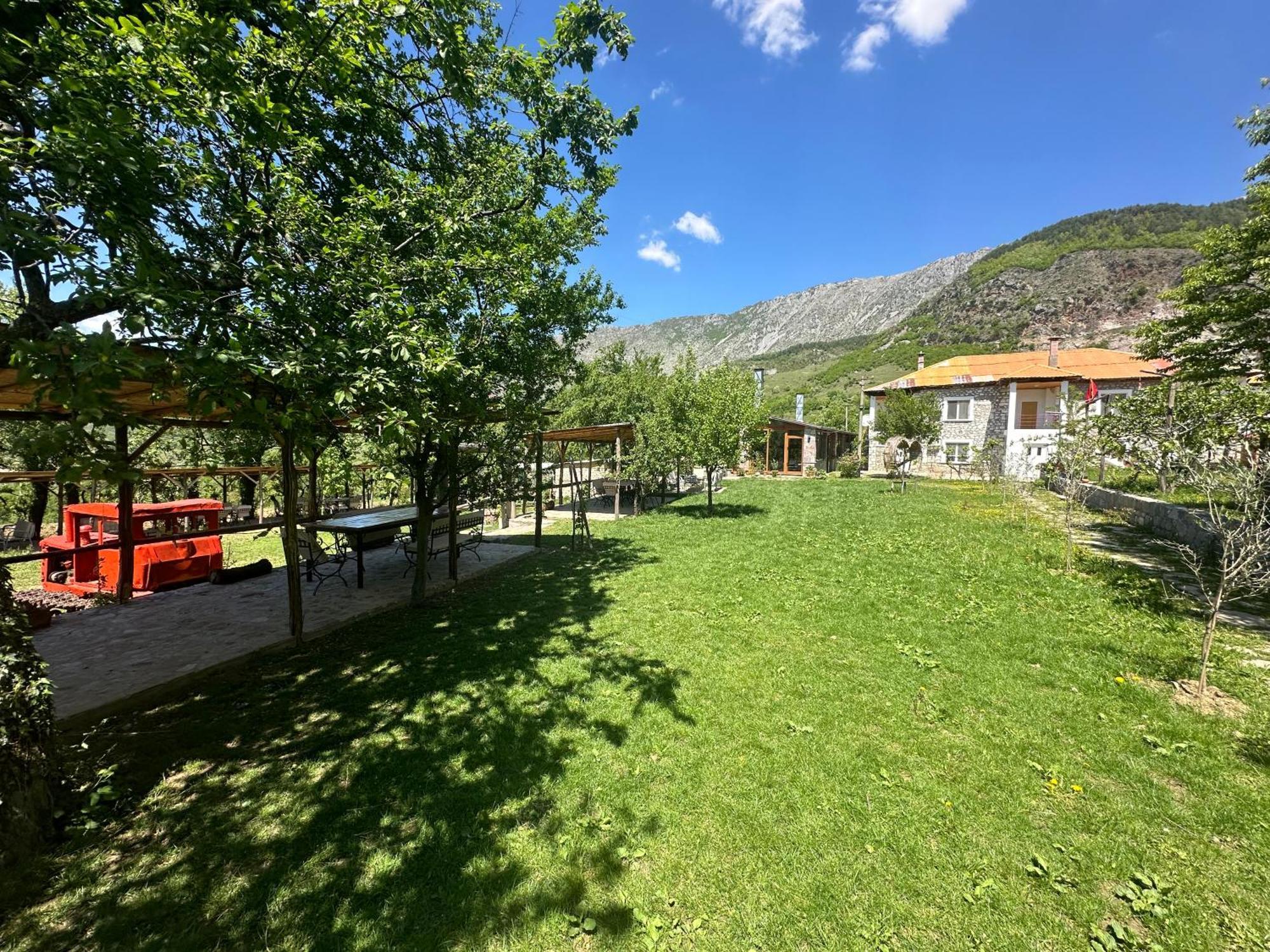 Vila Disha Tiranë Eksteriør bilde